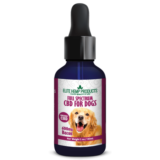 CBD Dog Tincture 600mg Bacon